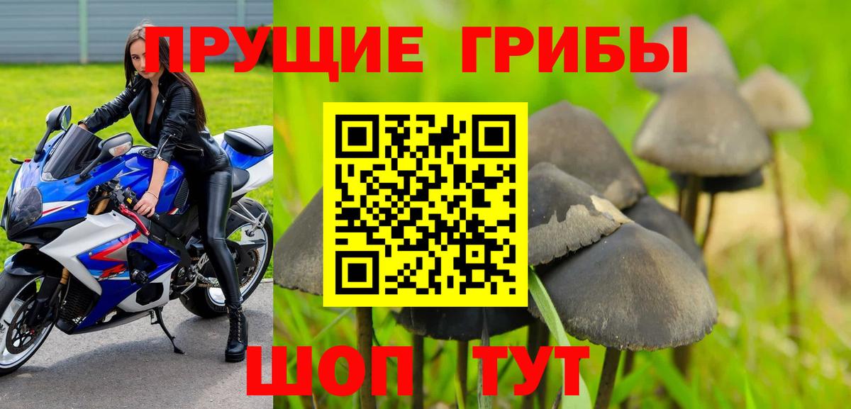 Галлюциногенные грибы GOLDEN TEACHER Советская Гавань