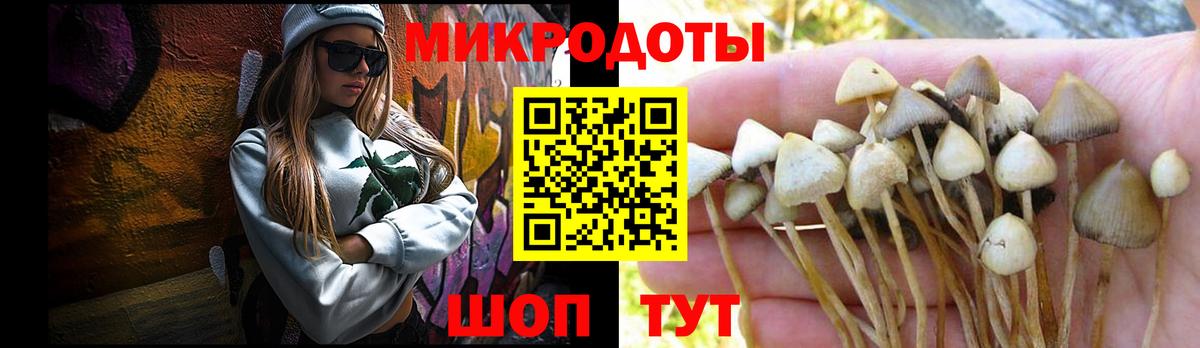 Советская Гавань  Галлюциногенные грибы прущие грибы  Вход с VPN  Галлюциногенные грибы мицелий 